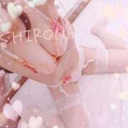 ヒメ日記 2026/07/08 09:50 投稿 Shirona THE PREMIUM （プレミアム）