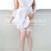 ヒメ日記 2026/08/27 00:00 投稿 Shirona THE PREMIUM （プレミアム）