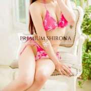 ヒメ日記 2026/09/12 00:05 投稿 Shirona THE PREMIUM （プレミアム）