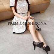 ヒメ日記 2026/10/04 23:50 投稿 Shirona THE PREMIUM （プレミアム）