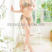 ヒメ日記 2026/10/06 23:50 投稿 Shirona THE PREMIUM （プレミアム）