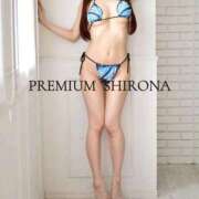 ヒメ日記 2026/10/11 08:50 投稿 Shirona THE PREMIUM （プレミアム）