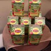 ヒメ日記 2024/12/28 13:48 投稿 碧(あおい) ロケットワイフ