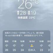 ヒメ日記 2025/06/06 16:13 投稿 碧(あおい) ロケットワイフ