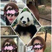 ヒメ日記 2025/09/25 16:31 投稿 碧(あおい) ロケットワイフ