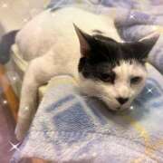 ヒメ日記 2025/10/10 09:11 投稿 碧(あおい) ロケットワイフ