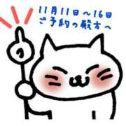 ヒメ日記 2025/11/08 23:04 投稿 碧(あおい) ロケットワイフ