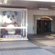 ヒメ日記 2026/01/31 16:53 投稿 碧(あおい) ロケットワイフ