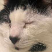 ヒメ日記 2026/02/10 10:07 投稿 碧(あおい) ロケットワイフ