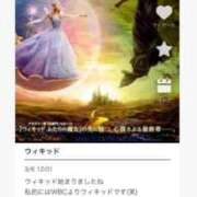 ヒメ日記 2026/03/07 08:50 投稿 碧(あおい) ロケットワイフ