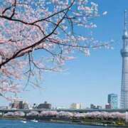 ヒメ日記 2026/03/25 09:54 投稿 碧(あおい) ロケットワイフ