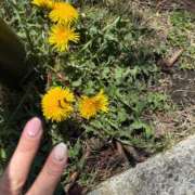 ヒメ日記 2026/03/27 22:36 投稿 碧(あおい) ロケットワイフ