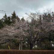 ヒメ日記 2026/03/28 20:50 投稿 碧(あおい) ロケットワイフ