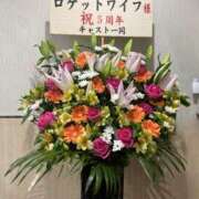 ヒメ日記 2026/04/20 09:45 投稿 碧(あおい) ロケットワイフ