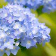 ヒメ日記 2025/06/10 21:00 投稿 りこ BAD COMPANY（バッドカンパニー）