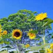 ヒメ日記 2025/06/29 12:55 投稿 りこ BAD COMPANY（バッドカンパニー）