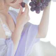 ヒメ日記 2024/12/19 14:36 投稿 あおい☆ CLUB PIAA