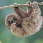 ヒメ日記 2024/12/30 11:06 投稿 あおい☆ CLUB PIAA