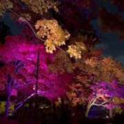 ヒメ日記 2025/01/21 23:17 投稿 あおい☆ CLUB PIAA