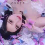 ヒメ日記 2025/02/17 21:56 投稿 あおい☆ CLUB PIAA