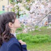 ヒメ日記 2025/03/27 07:26 投稿 あおい☆ CLUB PIAA