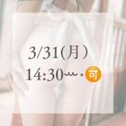 ヒメ日記 2025/03/31 05:36 投稿 あおい☆ CLUB PIAA