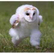 ヒメ日記 2025/04/06 12:46 投稿 あおい☆ CLUB PIAA