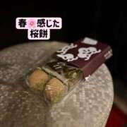 ヒメ日記 2025/04/08 07:35 投稿 あおい☆ CLUB PIAA