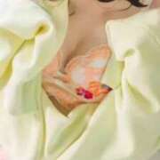 ヒメ日記 2025/04/09 08:16 投稿 あおい☆ CLUB PIAA