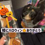 ヒメ日記 2025/10/21 20:45 投稿 あおい☆ CLUB PIAA