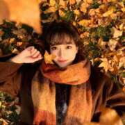 ヒメ日記 2025/11/22 13:15 投稿 あおい☆ CLUB PIAA