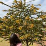 ヒメ日記 2026/03/29 20:16 投稿 あおい☆ CLUB PIAA