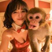 ヒメ日記 2026/04/01 06:00 投稿 あおい☆ CLUB PIAA