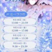 ヒメ日記 2026/09/08 17:12 投稿 あおい☆ CLUB PIAA