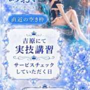 ヒメ日記 2026/10/08 09:14 投稿 あおい☆ CLUB PIAA