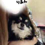 ヒメ日記 2025/10/16 10:23 投稿 りあん しろうさぎ