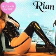 りあん 12／15 月曜日 しろうさぎ