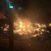 ヒメ日記 2026/01/15 12:23 投稿 えりか マリン千姫