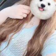 ヒメ日記 2025/05/28 08:00 投稿 つかさ タレント倶楽部Around40