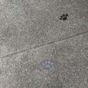 ヒメ日記 2025/06/10 07:22 投稿 つかさ タレント倶楽部Around40