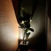 ヒメ日記 2025/07/08 15:18 投稿 つかさ タレント倶楽部Around40