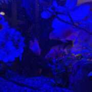 ヒメ日記 2025/07/15 14:08 投稿 つかさ タレント倶楽部Around40