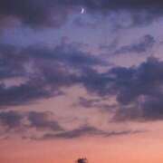 ヒメ日記 2025/09/12 06:58 投稿 つかさ タレント倶楽部Around40