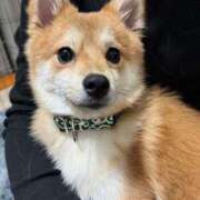 ヒメ日記 2026/01/22 08:08 投稿 つかさ タレント倶楽部Around40