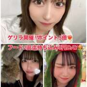 ヒメ日記 2025/03/06 22:59 投稿 あかり Vivienne池袋西口店