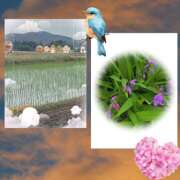 ヒメ日記 2025/06/06 19:16 投稿 佐藤瑞希 五十路マダム宇都宮店(カサブランカグループ)