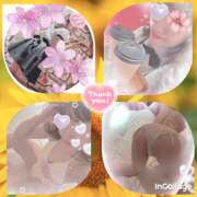 ヒメ日記 2025/06/12 23:12 投稿 佐藤瑞希 五十路マダム宇都宮店(カサブランカグループ)