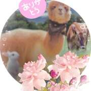 ヒメ日記 2025/06/26 20:48 投稿 佐藤瑞希 五十路マダム宇都宮店(カサブランカグループ)