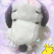 ヒメ日記 2025/07/31 23:50 投稿 佐藤瑞希 五十路マダム宇都宮店(カサブランカグループ)