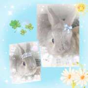 ヒメ日記 2025/08/21 22:22 投稿 佐藤瑞希 五十路マダム宇都宮店(カサブランカグループ)